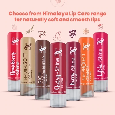 Shine Lip Care x 4.5gr