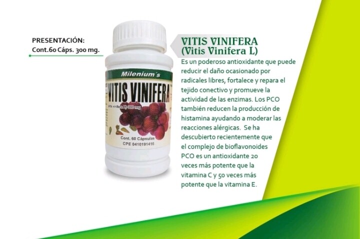 Vetis Vinisfera ~ 300 Mg x 100 Cápsulas 