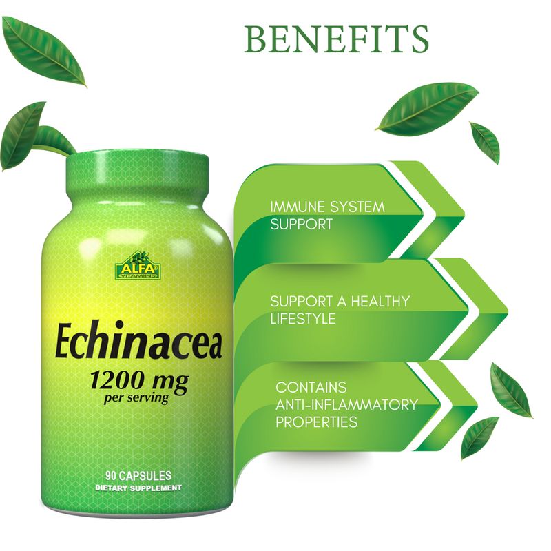 Echinacea ( Power Formula ) ~ 1.200 Mg × 90 Cápsulas