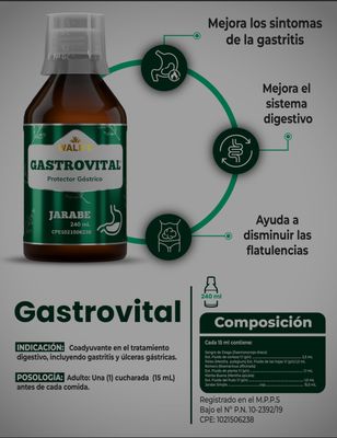 GASTROVITAL × 240 ML