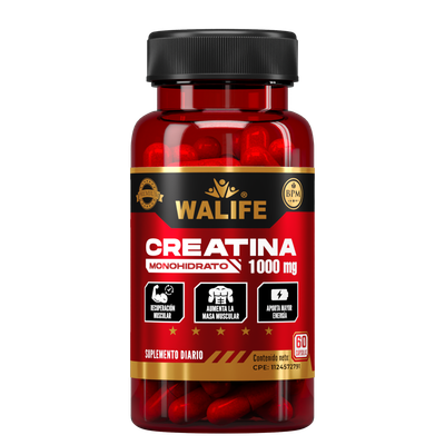 Creatina - 1.000 MG x 60 Capsulas