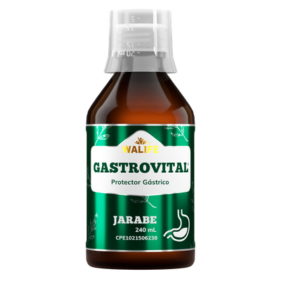 GASTROVITAL × 240 ML