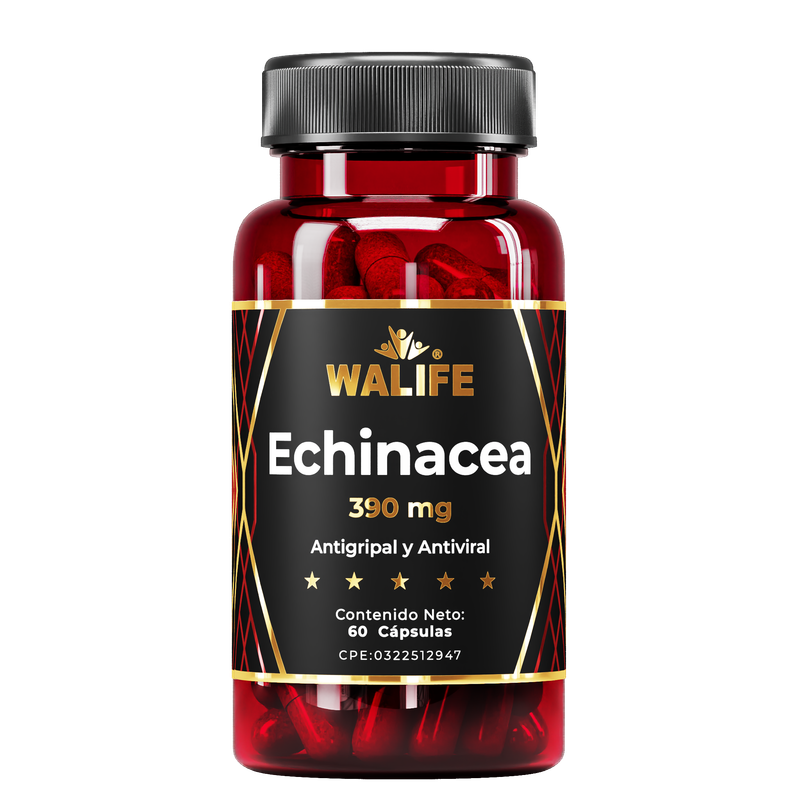Echinacea ~ 390 MG × 60 Cápsulas