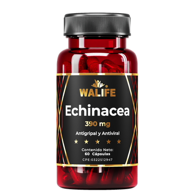 Echinacea ~ 390 MG × 60 Cápsulas