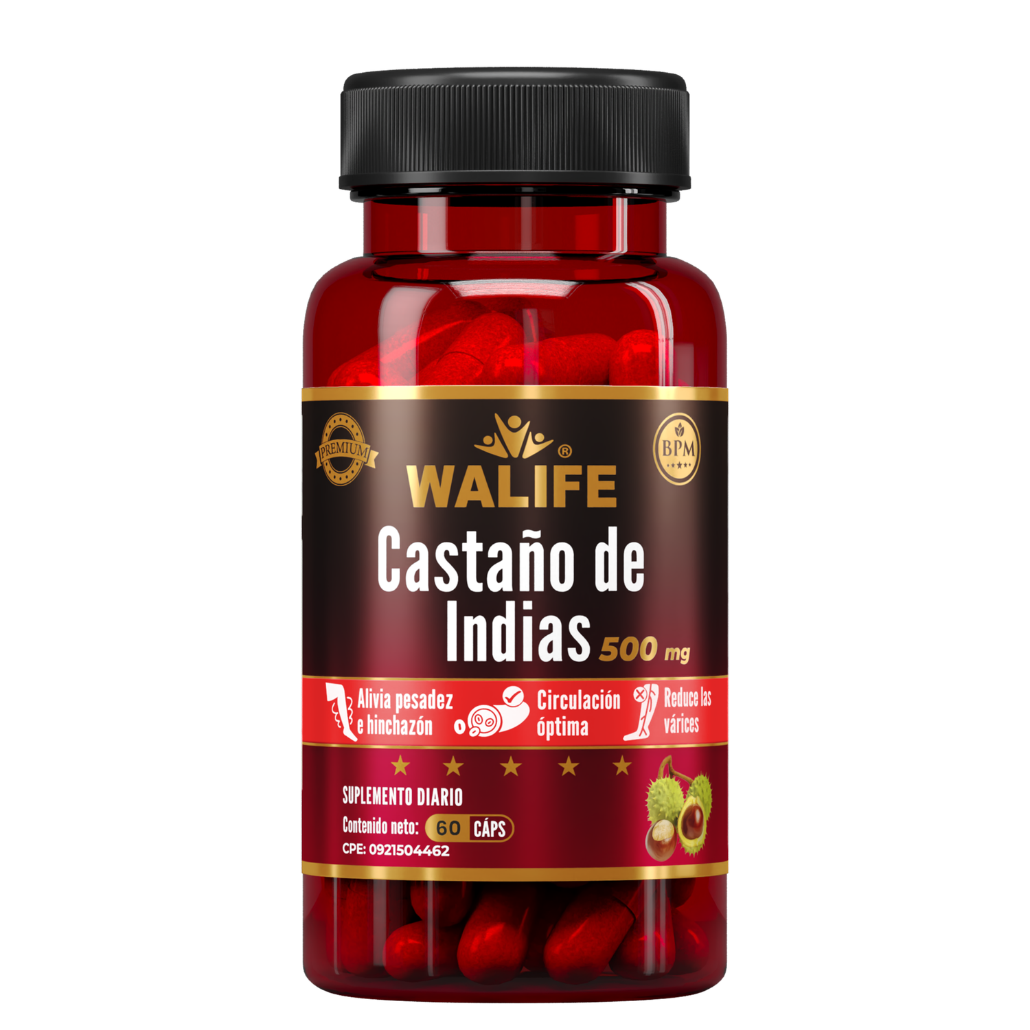 Castaño De Indias ~ 450 MG × 60 Cápsulas