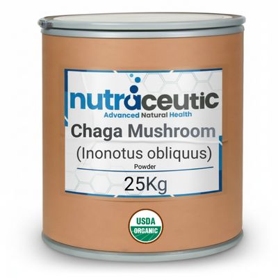 Changa Mushroom ~ Puré Powder × 25 KG