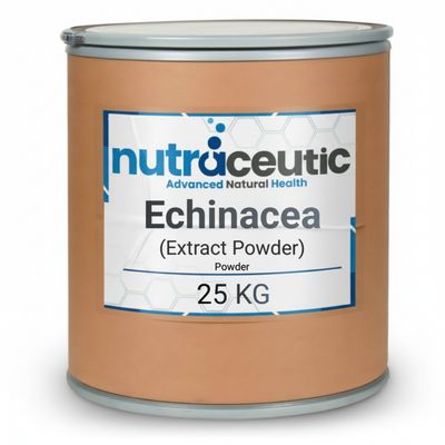 Echinacea ~ Extract Powder× 25 KG