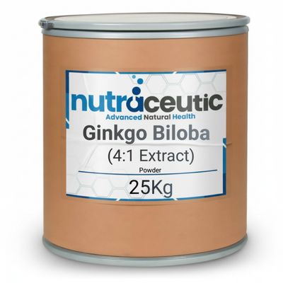 Ginkgo Biloba ~ Extract Powder × 25 KG