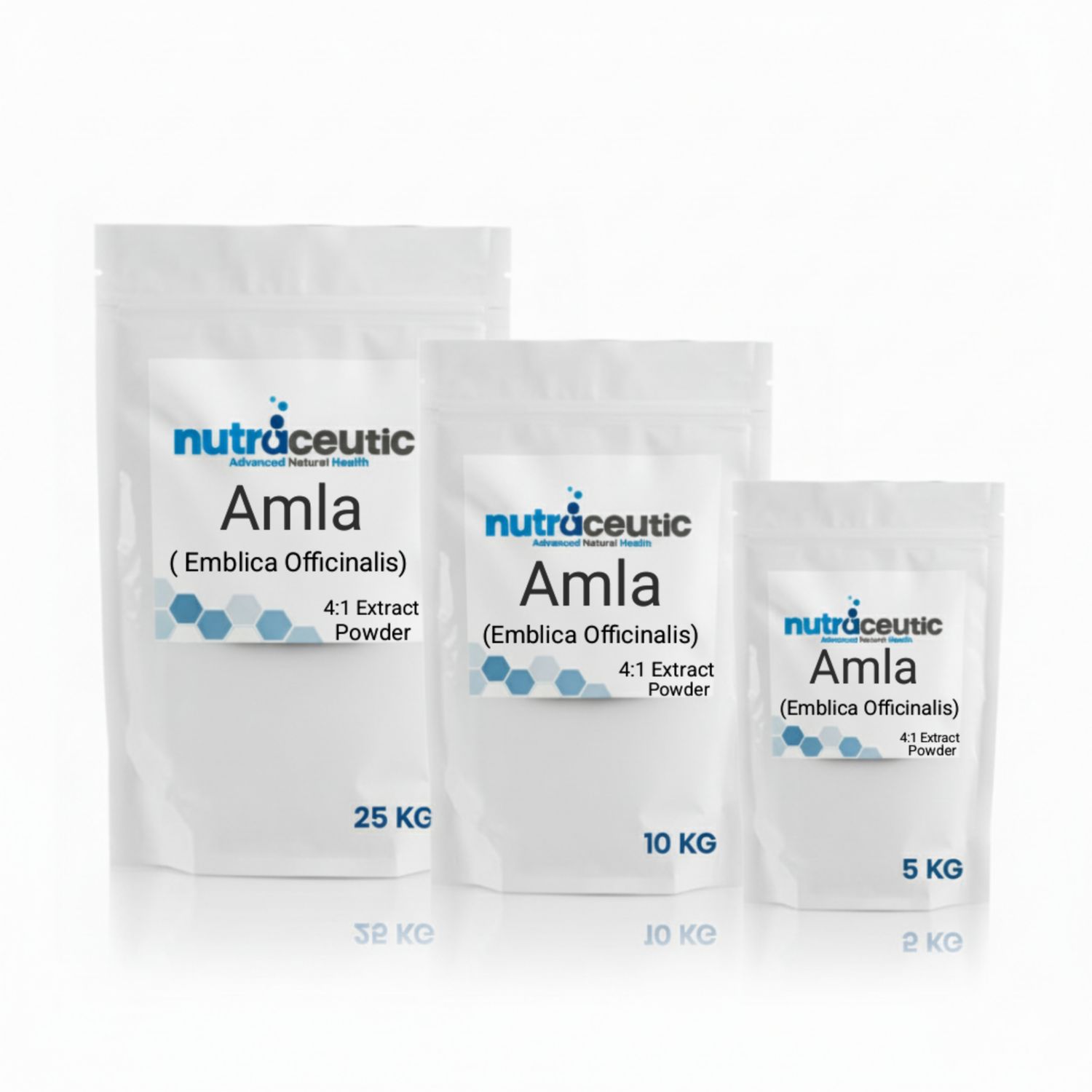 AMLA ~ Extract Powder × 25 KG