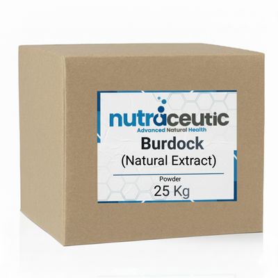 Burdock Root ~ Extract × 25 KG