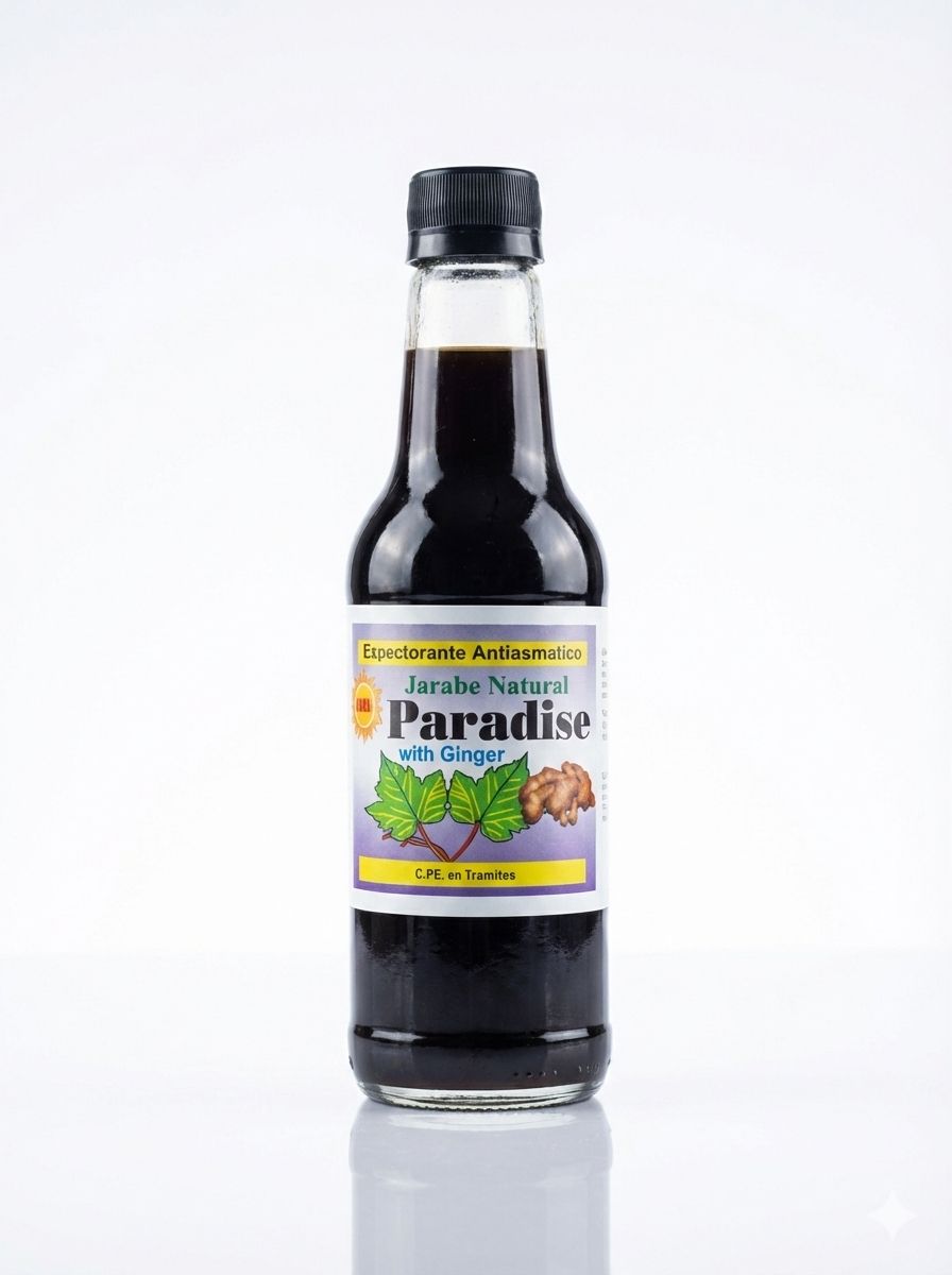 Paradise Ginger × 240 ML