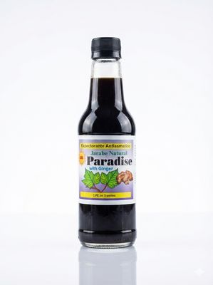 Paradise Ginger × 240 ML