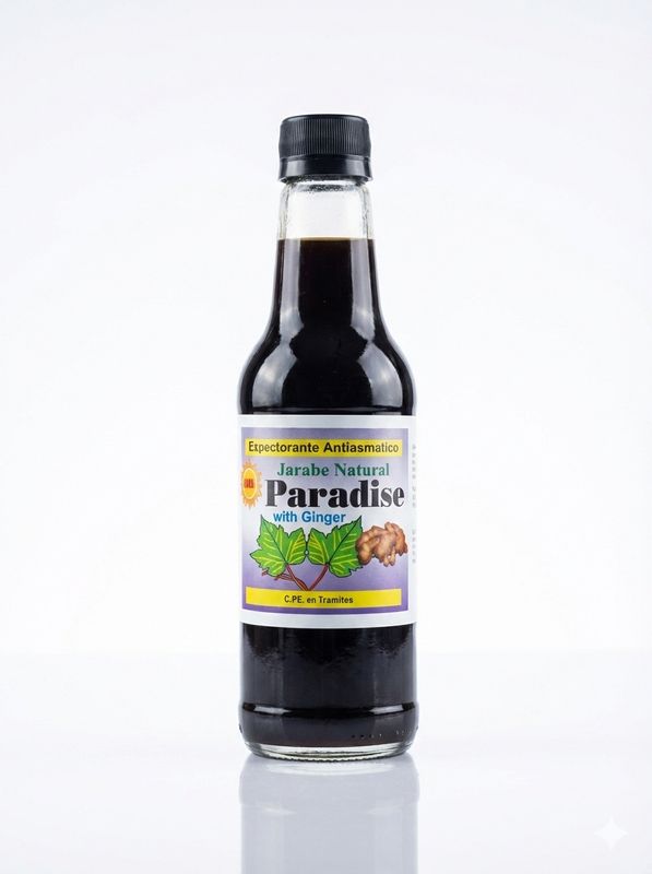 Paradise Ginger × 240 ML