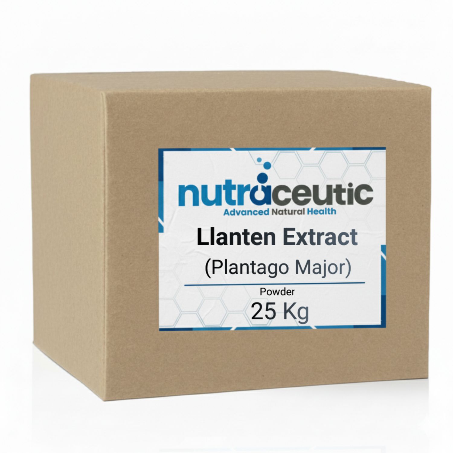 Llanten (Plantago Major) ~ Pure Powder × 25 KG