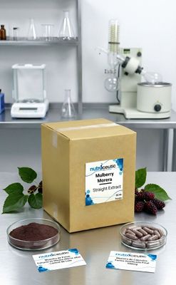Mulberry (Morera) ~ Organic Powder × 25 KG