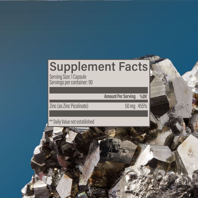 Zinc Simply x 90 Capsulas