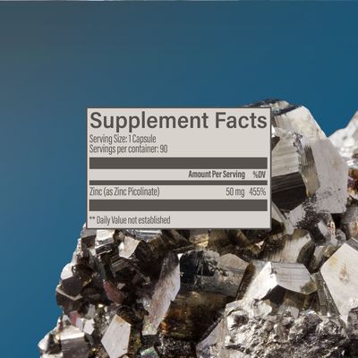 Zinc Simply x 90 Capsulas