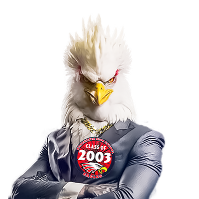 Eagle Pride "Class of 2003" Spirit Medallions w/Bling Chain by Above All Dreams