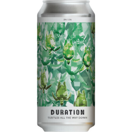 Duration Turtles All the Way Down 440ml