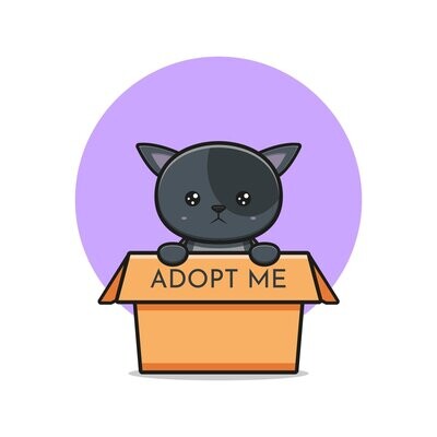 Adopciones Mascotas