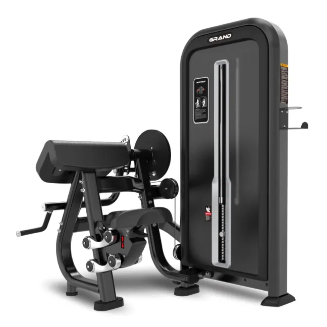 MÁQUINA COMERCIAL BÍCEPS/TRÍCEPS X-LINE GRAND FITNESS