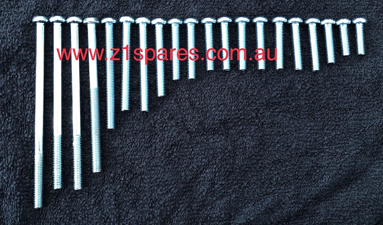 H2 750 Engine Cover Screw Set 20 Piece