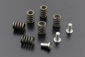 Replacement Clutch Hub Springs and Rivets 13095-036