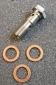Kawasaki Z1 900 Z900 Stainless Double Banjo bolt and copper washers
