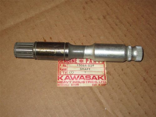 Genuine kickstarter shaft  13066-029