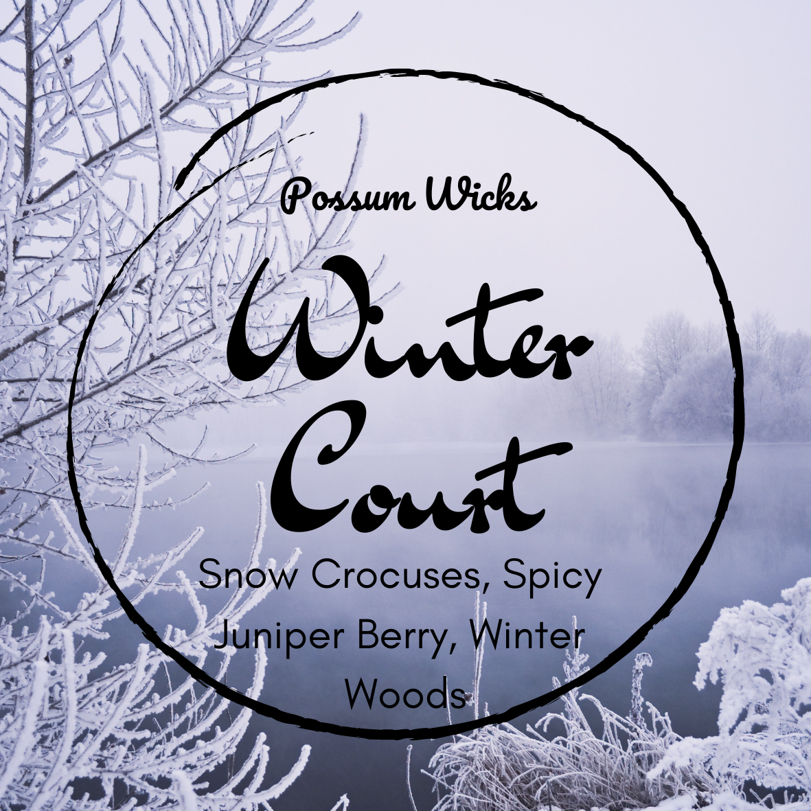 Winter Court