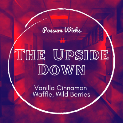 The Upside Down