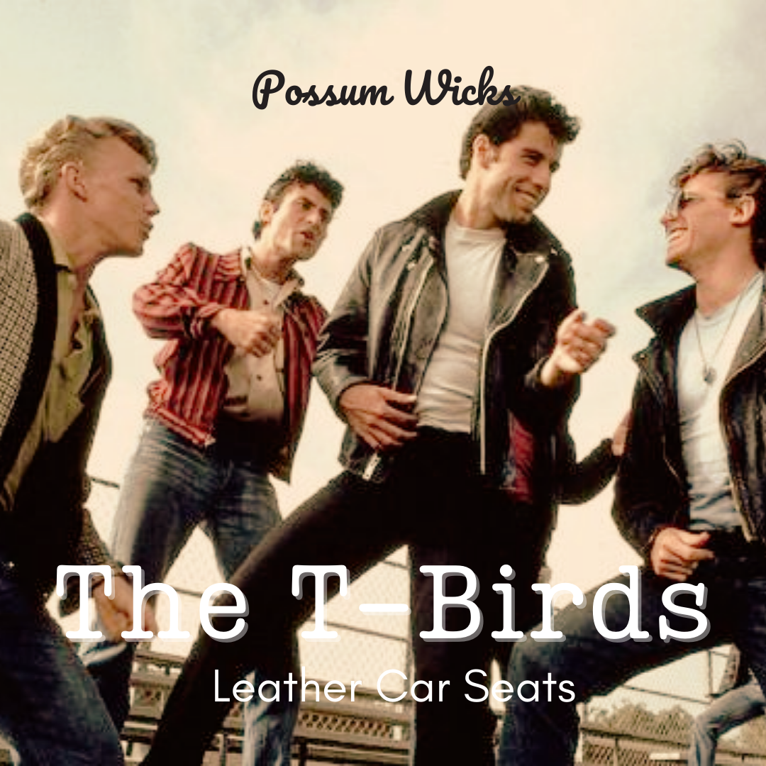 The T-Birds