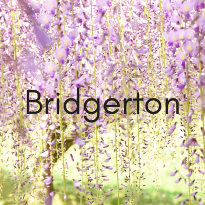 Bridgerton