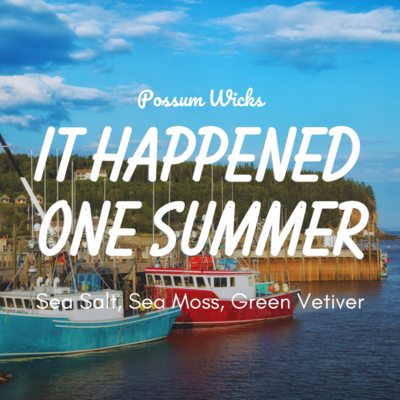 It Happened One Summer