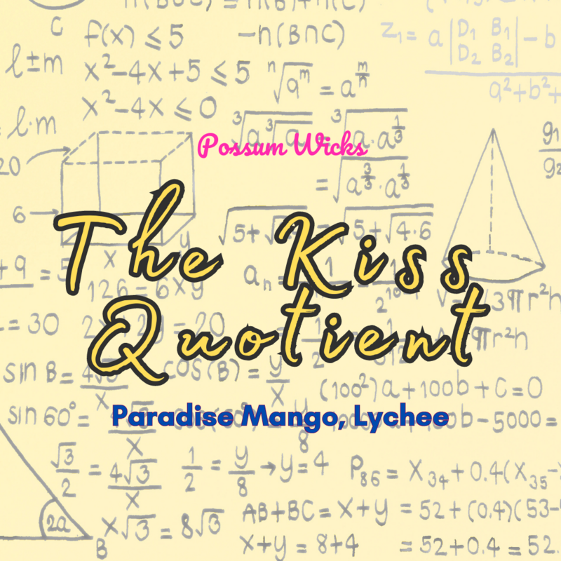 The Kiss Quotient