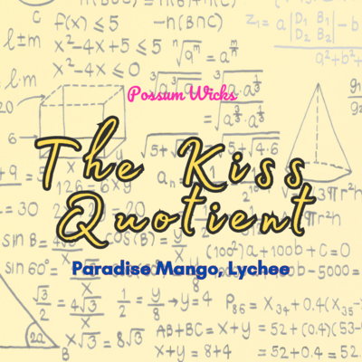 The Kiss Quotient