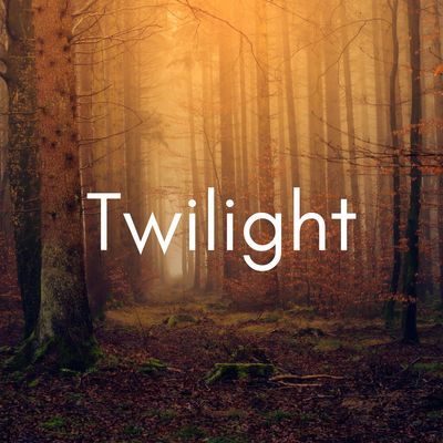 Twilgiht