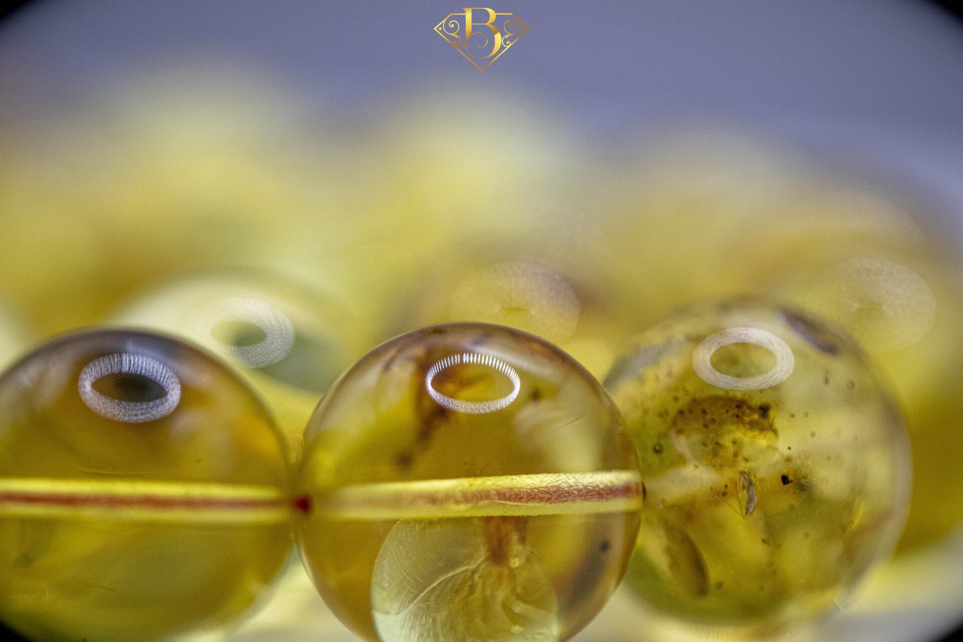 Colombian Amber Rosary With Insect