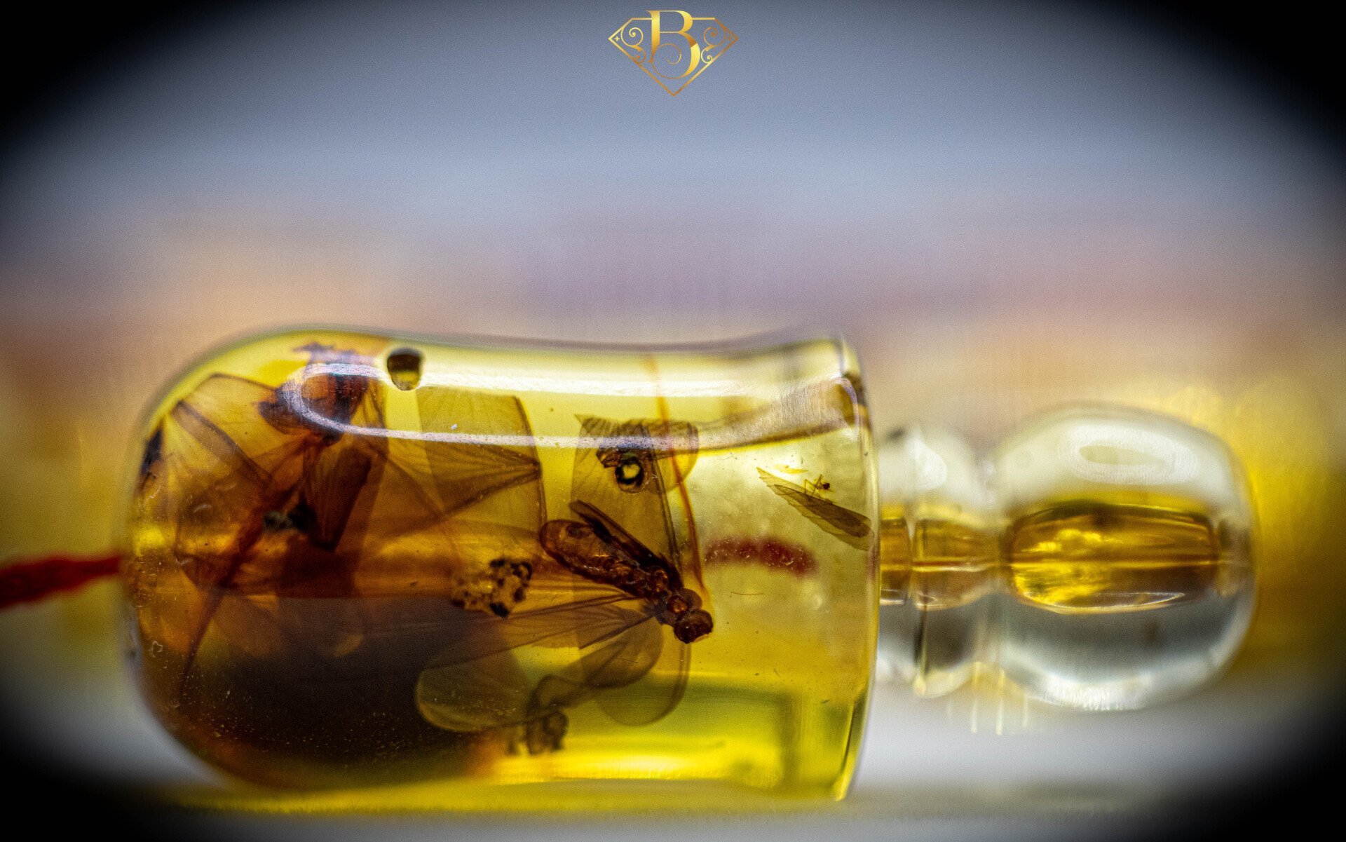 Colombian Amber Rosary (Half Wing)