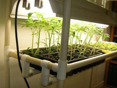 PVC Grow Rack - Seed Starter PVC Grow Rack - Seed Starter