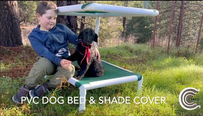 PVC Dog Bed with Shade