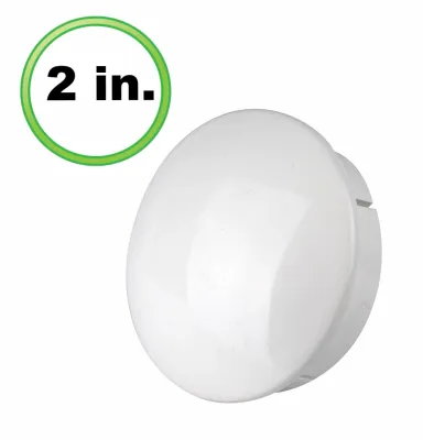 Internal Cap (2 inch)