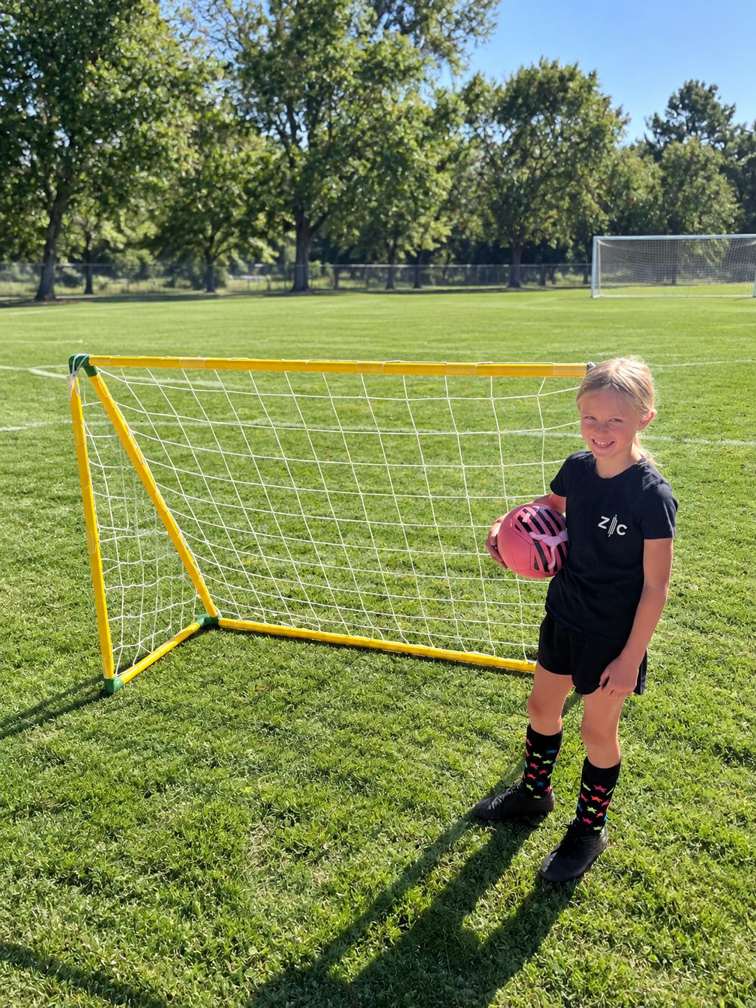 Soccer Goal 4x6