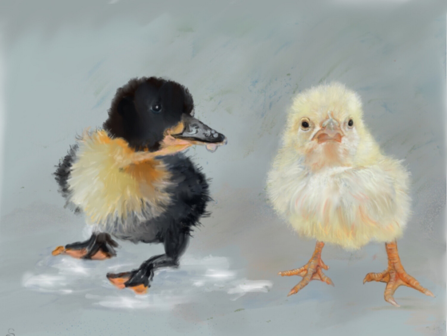 Baby Bird Buddies