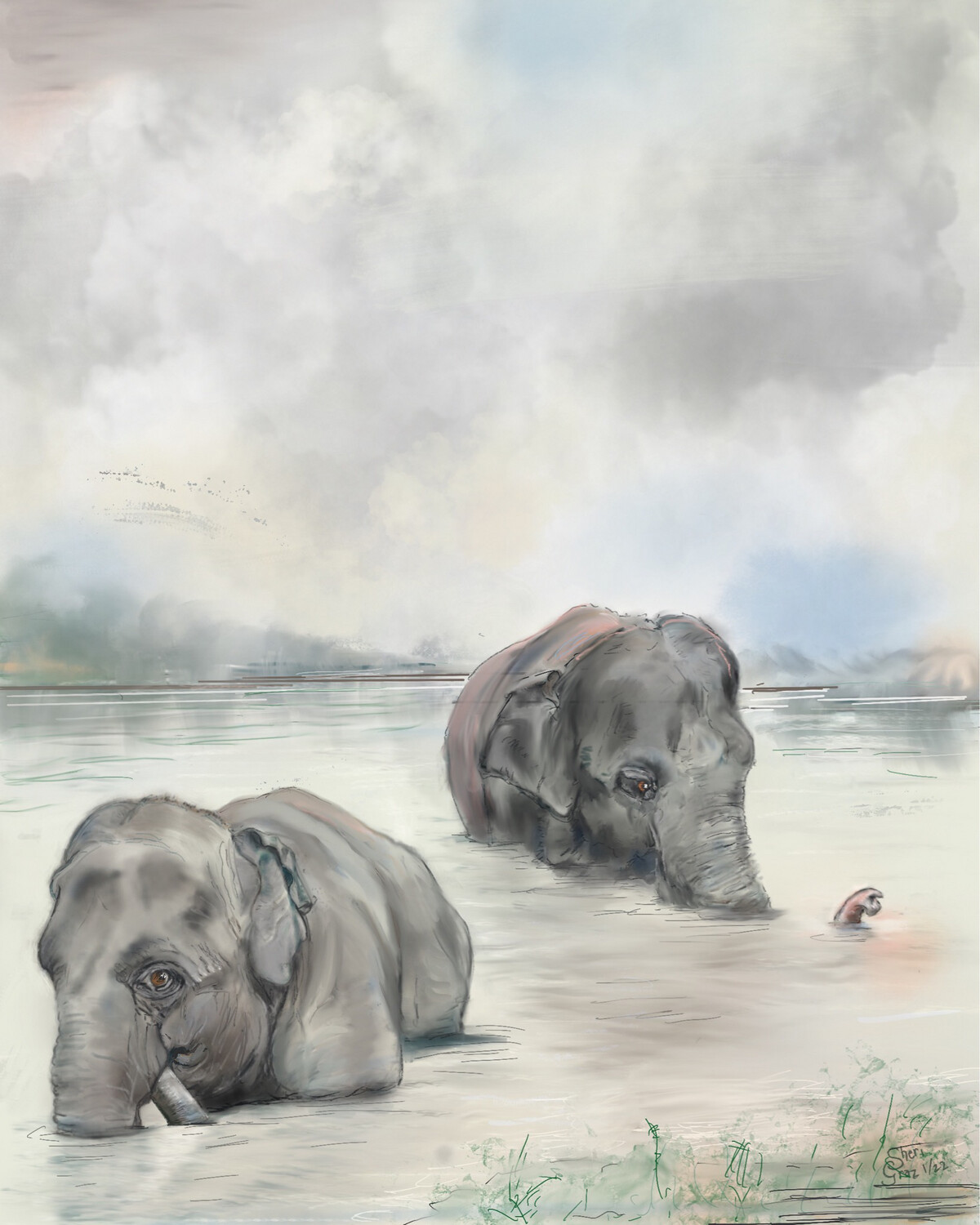 Elephants Bathing