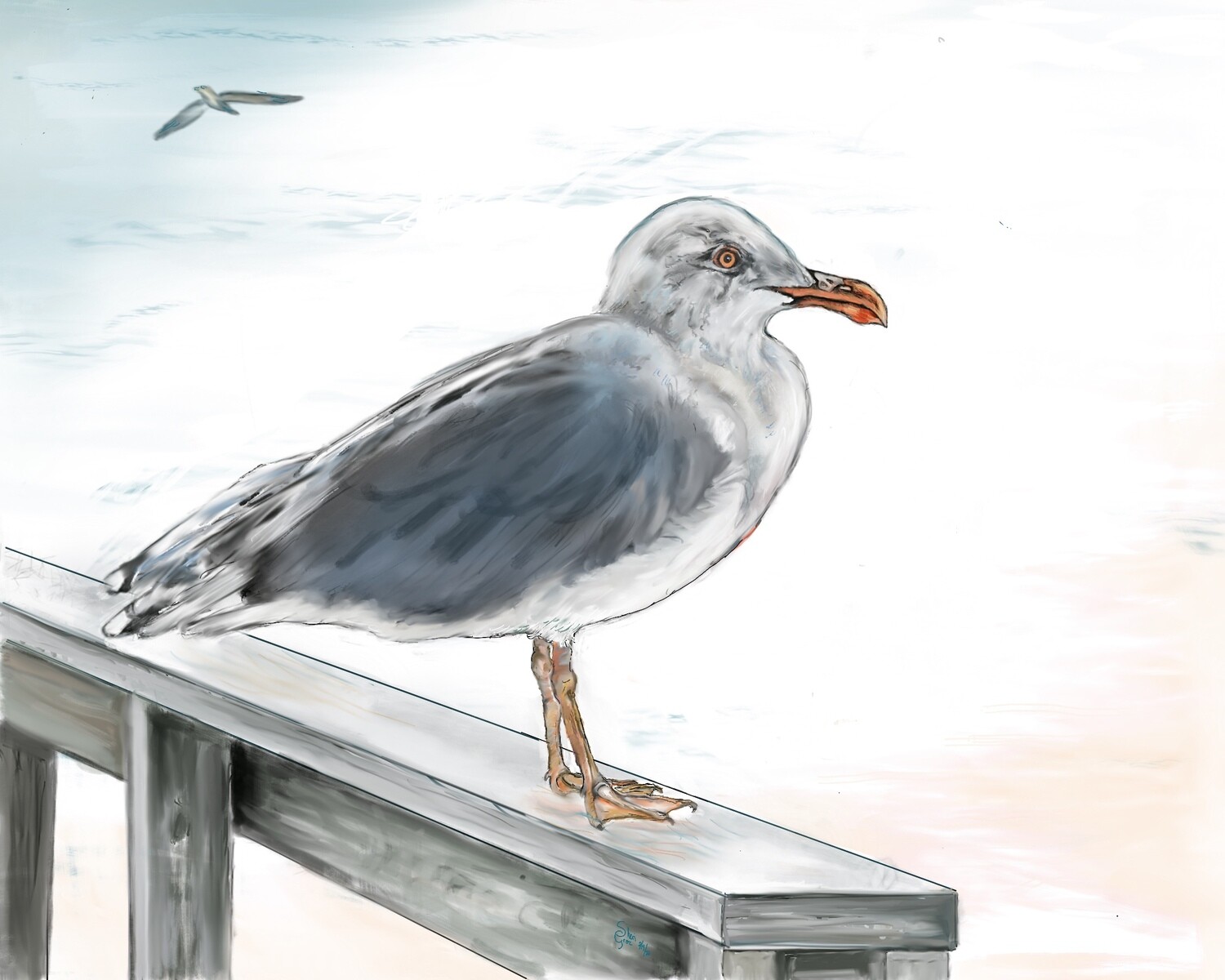 My Favorite Seagull