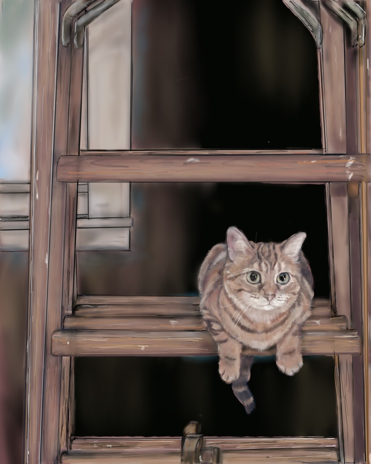 Cat on a Ladder
