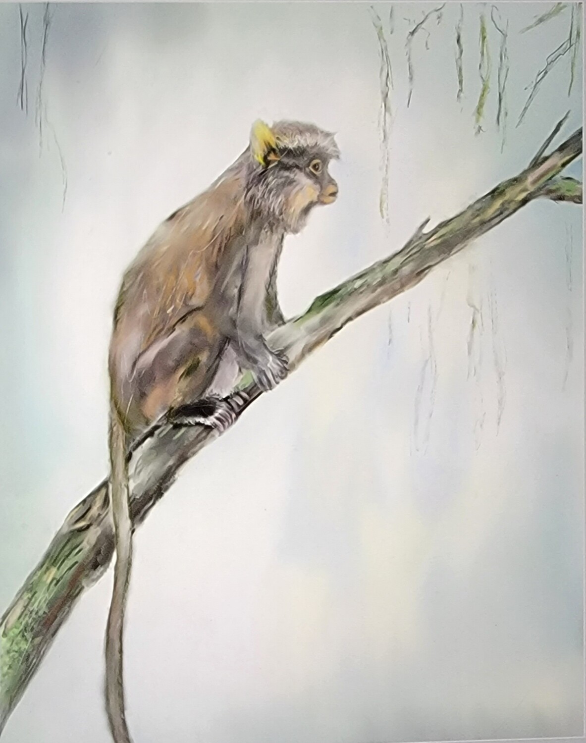 Mona monkey poster print