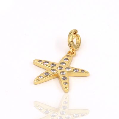Star Fish Charm