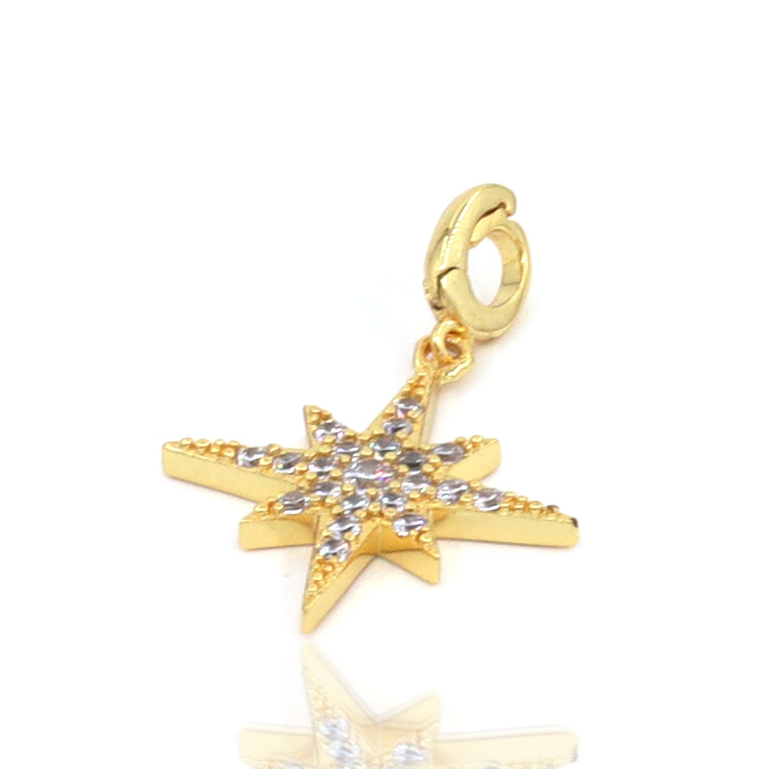 Super Star Charm